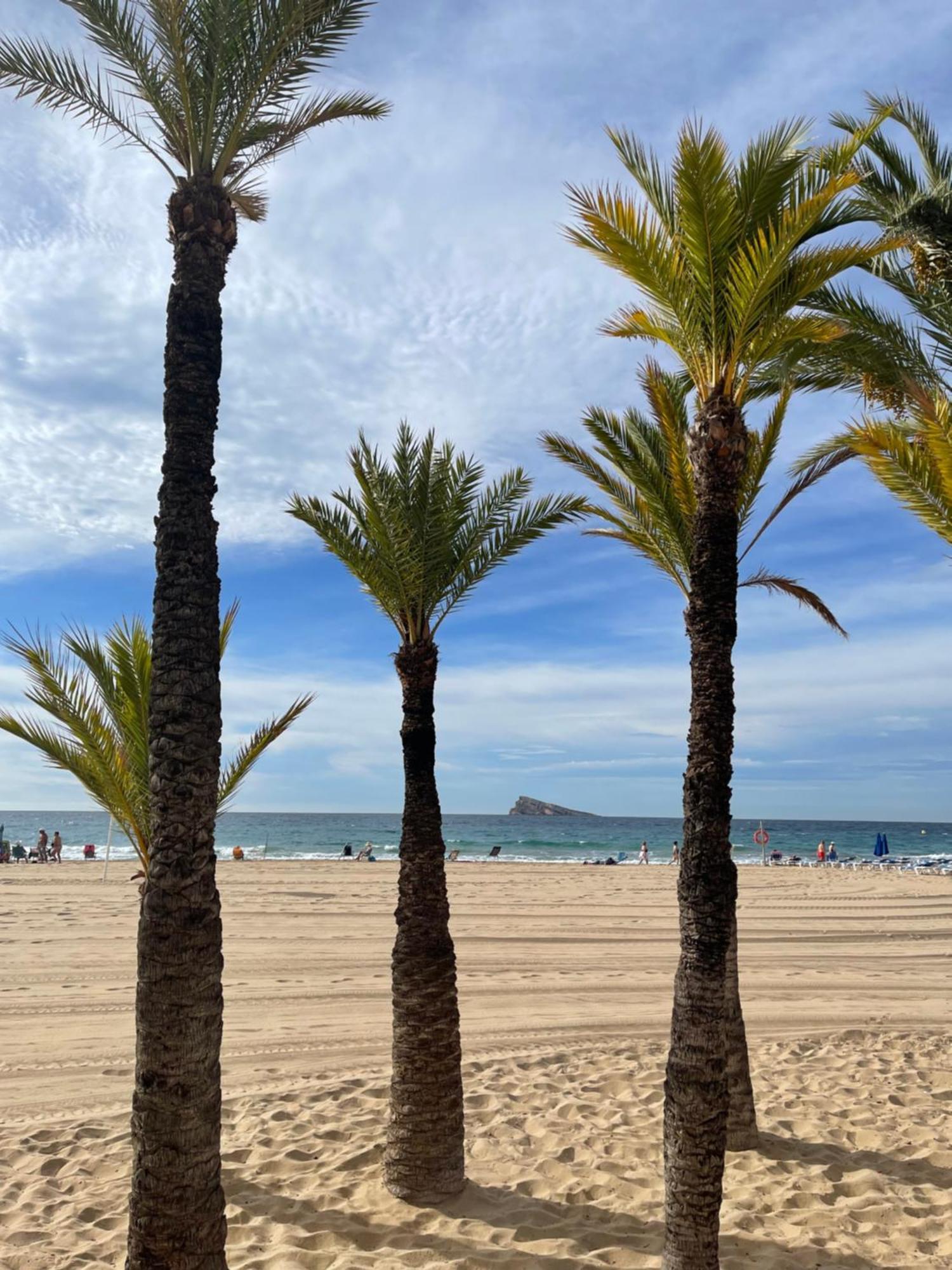 Marinapartsol 5A Apartman Benidorm Kültér fotó